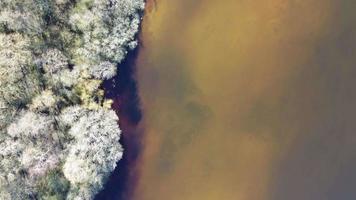 aéreo topo Visão do uma lindo lago dentro Alemanha ensolarado clima. video