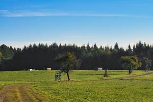 Meadow with hiking trail in Rhineland-Palatinate. View over field with trees photo