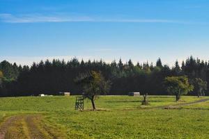 Meadow with hiking trail in Rhineland-Palatinate. View over field with trees photo