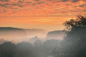 Sunrise over a misty forest. Dawn in fairy forest with dramatic glowing sky photo