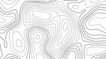 Abstract topographic map background. Abstract topographic map background. Imitation of a geographical map. Geographic map conceptual design. Elegant background for presentations. photo