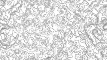 White wave paper curved reliefs abstract background, Abstract topographic contours map background. Geographic mountain relief. Abstract lines background. Contour maps. Business concept. photo