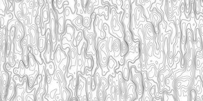 Topographic background and texture. abstraction with place for text. Topo backdrop lines, contour, geographic grid. Modern black and white topographic contours lines of mountains. Topography map art photo