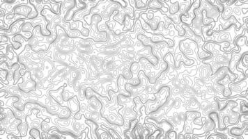 Abstract blank detailed topographic contour map subtle white background. Geographic topographic map grid. Line map with elevation. Topographic cartography. Topographic map. Topographic Relief. photo