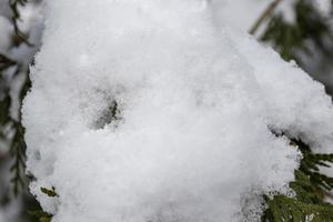 nieve blanca y esponjosa en invierno foto