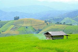 House or home on green paddy field with high mountain background and blue sky. Nature landscape at Ban Pa Pong Pieng, Chiang Mai, Thailand. Natural wallpaper, harvest and Agricultural with copy space. photo