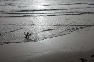 Sun setting over the sea, sunset in autumn on the beach of Zahara de los atunes, Cadiz, Andalucia, Spain photo