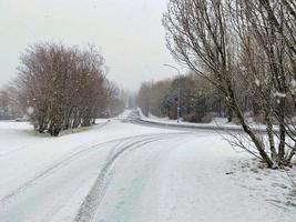 A view of Reykjavik park covered in snow photo