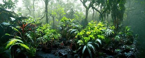 Foggy dark excotic tropical jungle illustration design photo