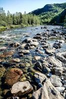 Stones in the river photo