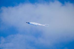 Colorful flying kite photo