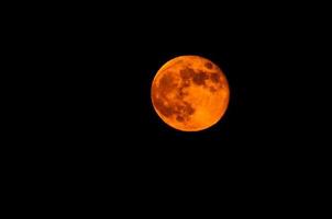 Moon on dark background photo