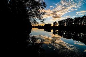 arboles a lo largo el río foto