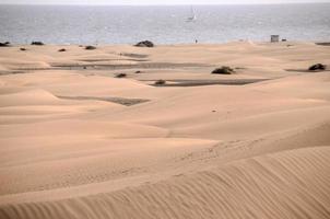 Sand dunes by the sea photo