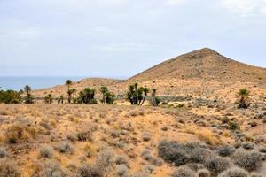 vista escénica del desierto foto