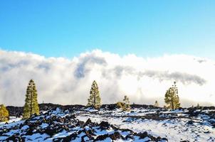 Snowy winter landscape photo