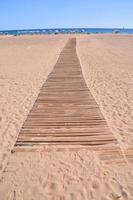 Path on the beach photo