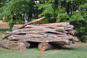 Pile of logs photo