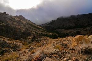 paisaje en tenerife foto