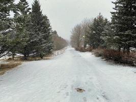 un ver de Reikiavik parque cubierto en nieve foto