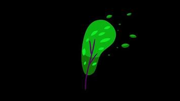 plant leaf tree leaves flying on wind icon loop Animation video transparent background with alpha channel