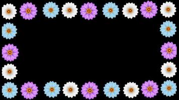 beautiful flower Floral frame Background transparent background with an alpha channel. video