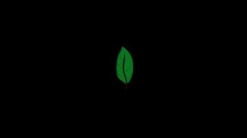plant tree leaves flying on wind icon loop Animation video transparent background with alpha channel