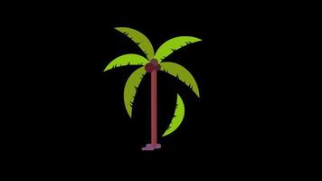 palm tree icon loop Animation video transparent background with alpha channel