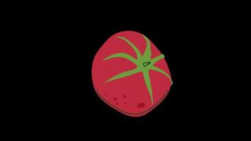 Tomate Symbol Schleife Animation Video transparent Hintergrund mit Alpha Kanal