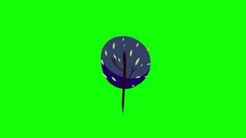 Pflanze Blatt Baum Blätter fliegend auf Wind Symbol Schleife Animation Video transparent Hintergrund mit Alpha Kanal