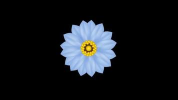flor florecer icono lazo animación vídeo transparente antecedentes con alfa canal video