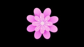 Loop animation of beautiful flower transparent background with an alpha channel. video