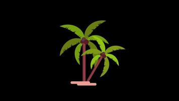 plam Baum Symbol Schleife Animation Video transparent Hintergrund mit Alpha Kanal