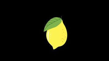 Zitrone Symbol Schleife Animation Video transparent Hintergrund mit Alpha Kanal