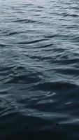 hav Vinka, långsam rörelse av hav, hav vågor bakgrund video