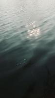 langzaam beweging zee, water Golf achtergrond video