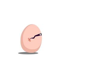 nytt kläckt kyckling ägg Hoppar, lämplig för looping läser in animering video