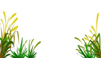 Green grass plant illustration background vector