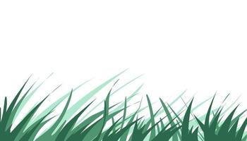 Green grass plant illustration background vector