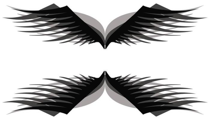 Black wings illustration background with shadow
