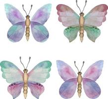 Set of beautiful watercolor butterflies. Colorful blue, yellow and red butterfly illustration of four vector