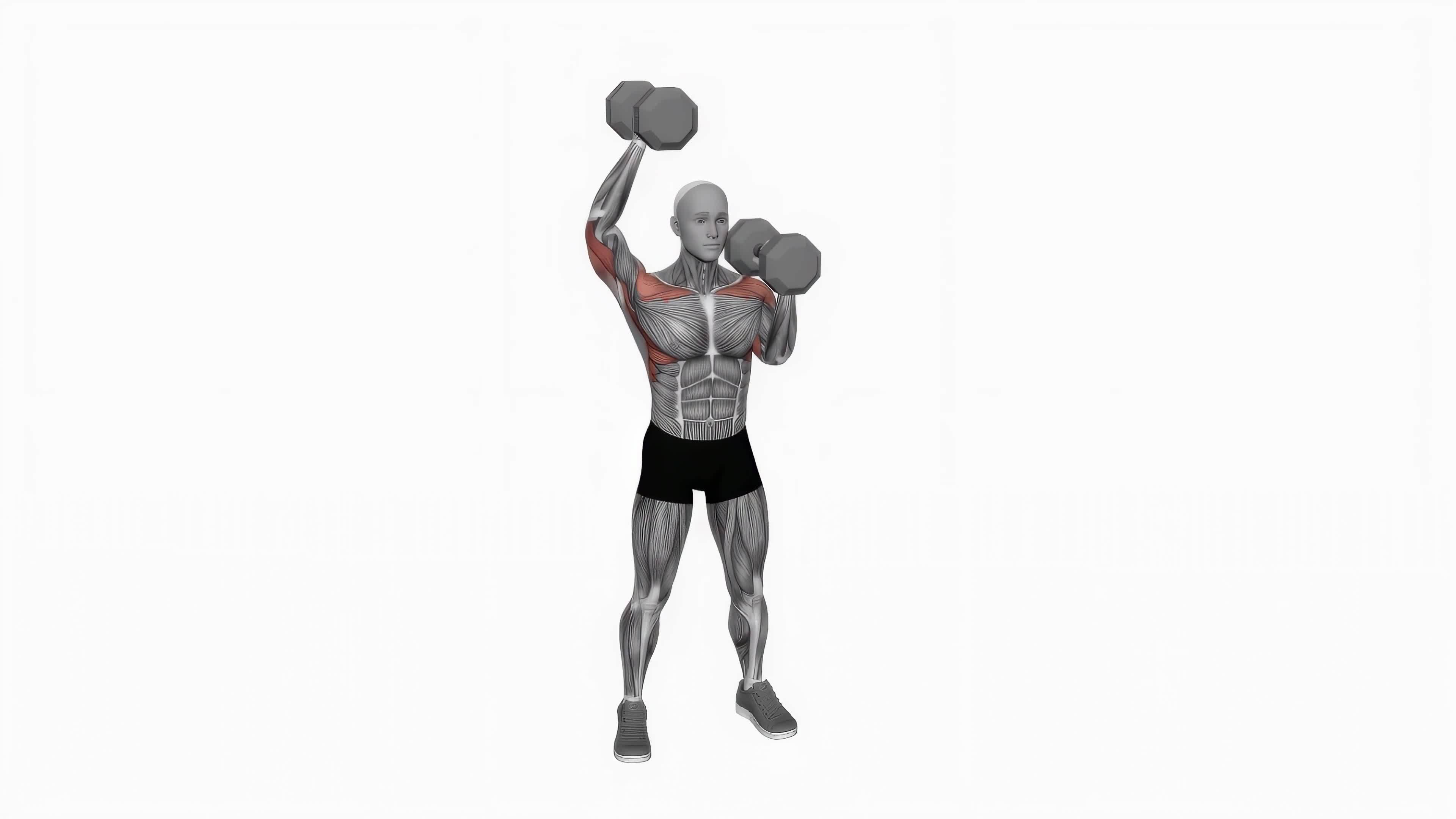 Dumbbell standing alternate overhead press fitness exercise workout animation video male muscle
