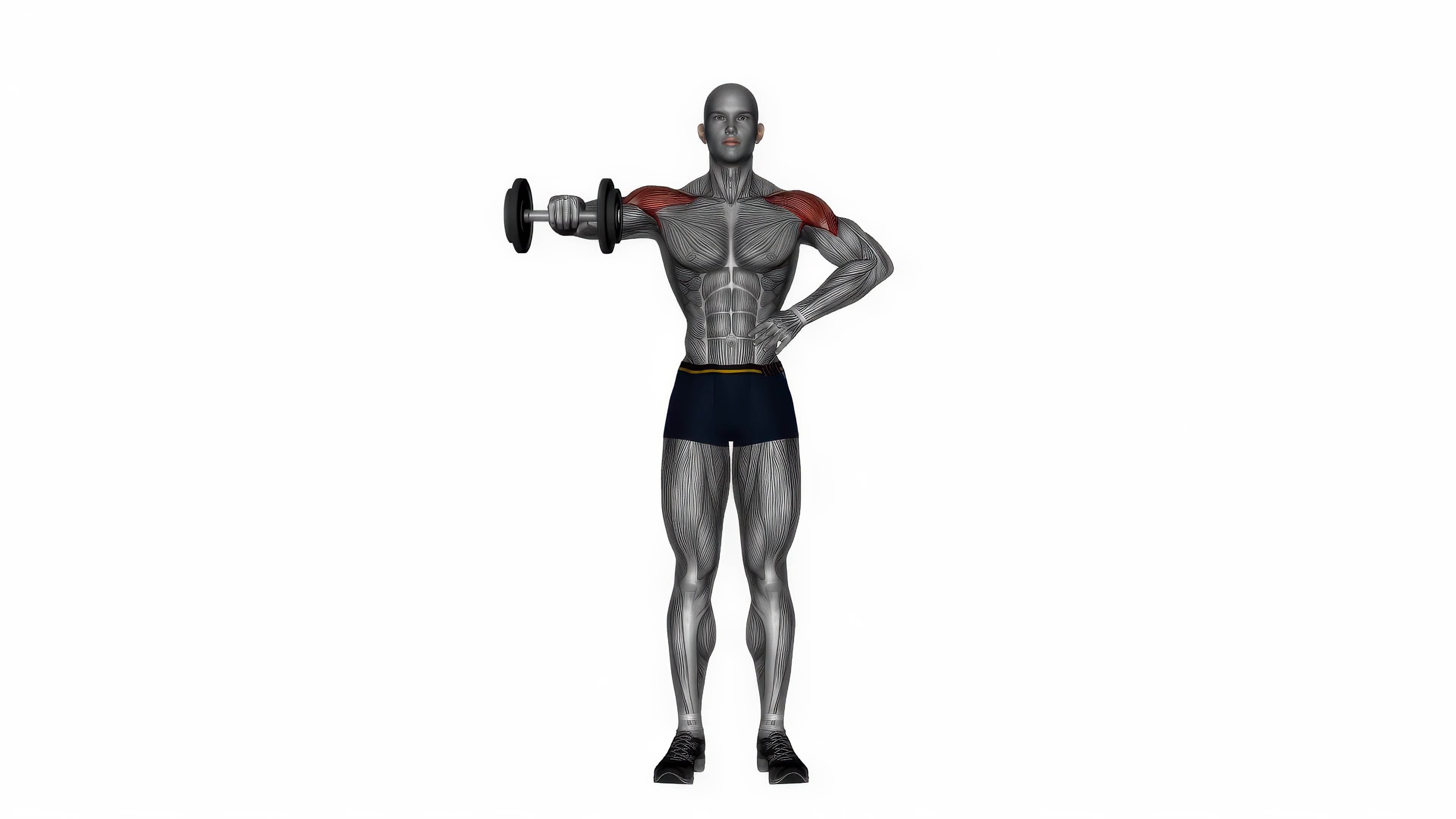 Dumbbell upright shoulder external rotation fitness exercise workout