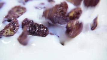 Filling a bowl of cereals in slow motion video