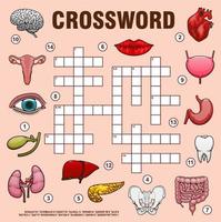 Human organs, crossword grid, quiz game vector