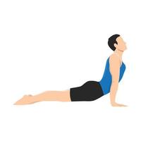 Man doing upward facing dog pose urdhva muka exercise vector