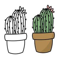 Cactus coloring book page. Cactus in a pot. Isolat vector