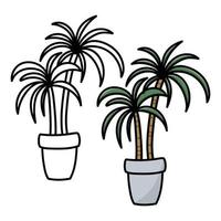 palm trees in a flower pot. coloring book page. vector