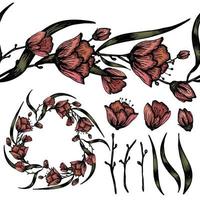 Set with pink tulips. Wreath, chain and isolated elements. vector