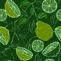 Pattern with bergamot slices and branches. Vintage texture with kaffir limes vector